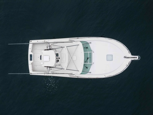2008 Cabo 38