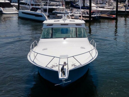 Viking 42 - Drop'Em - Profile