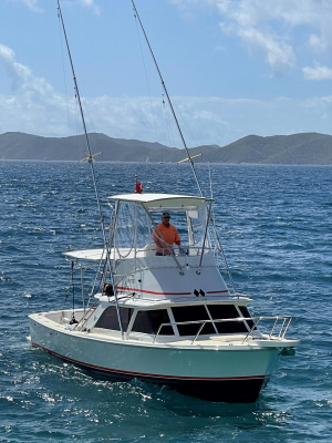 Double Diamond 31ft Bertram Yacht For Sale