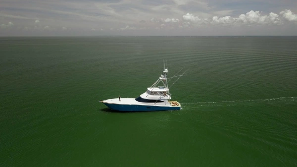 2016 Viking 80