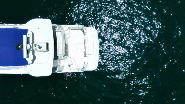 2006 Carver 46