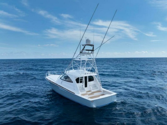 Viking 54 Sport Tower - Profile