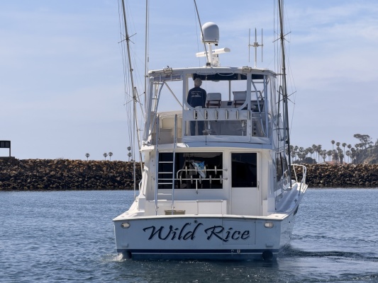 WILD RICE 50ft Viking Yacht For Sale