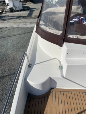 PISCO SOUR 56ft Carver Yacht For Sale