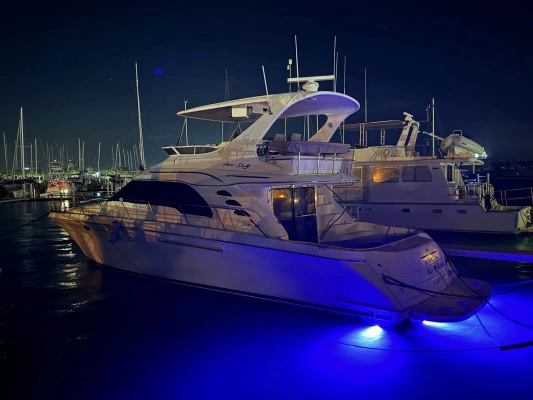 Sea Ray Sedan Bridge Yacht For Sale