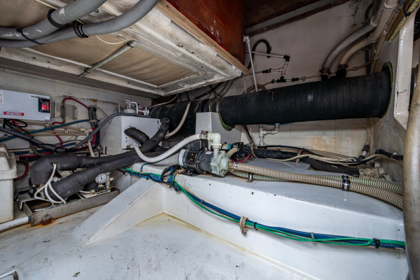 VET BILLZ 39ft Bertram Yacht For Sale