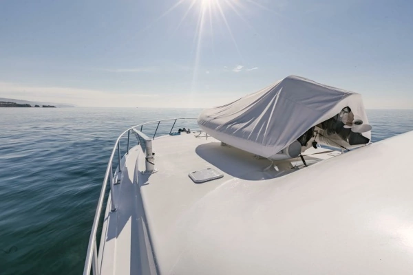 2003 Viking 56