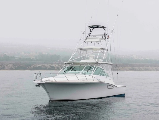 2008 Cabo 38