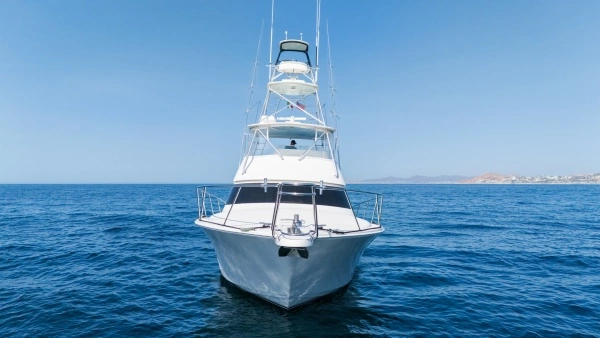 Photo of the 2009 Viking 50 Convertible "Jammin"