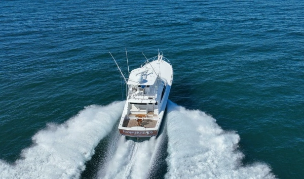 2021 Viking 54