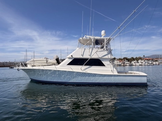 Photo of the 1994 Viking 50 Convertible "WILD RICE"