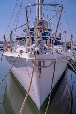 2010 Shannon 53