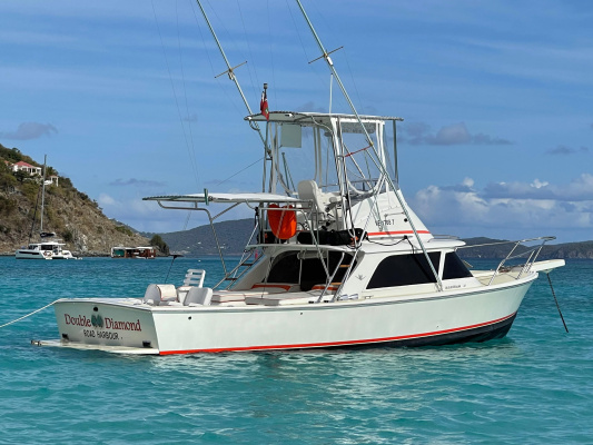 Double Diamond 31ft Bertram Yacht For Sale