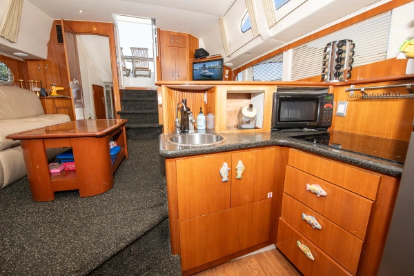 2006 Carver 46