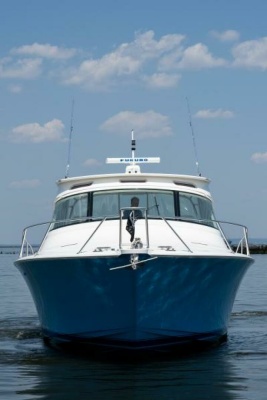 Viking 42 - Drop'Em - Profile