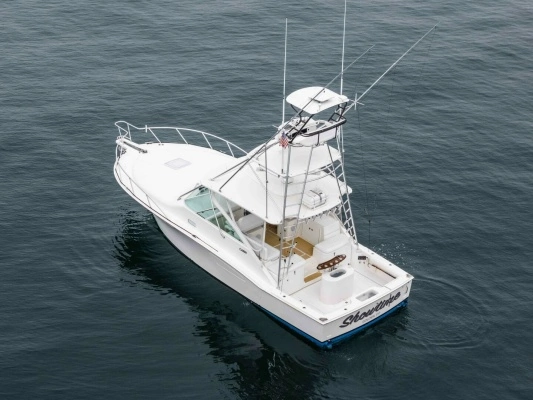 2008 Cabo 38