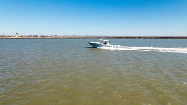 2019 Invincible 39