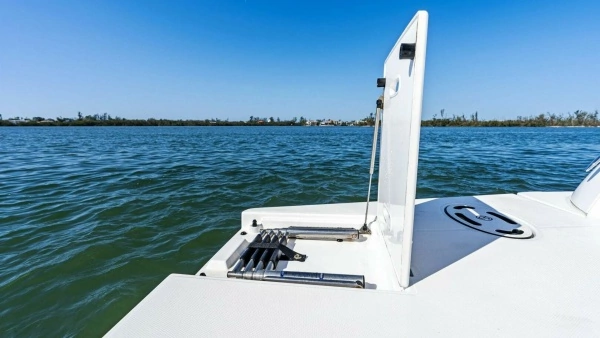 2019 Cruisers Yachts 45
