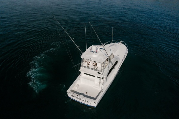 SPECTACULAR BID 56ft Viking Yacht For Sale