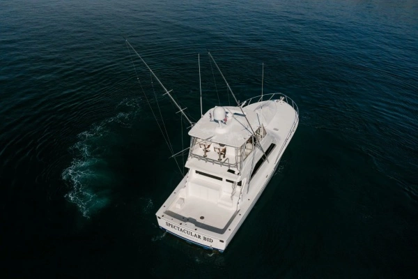 2003 Viking 56