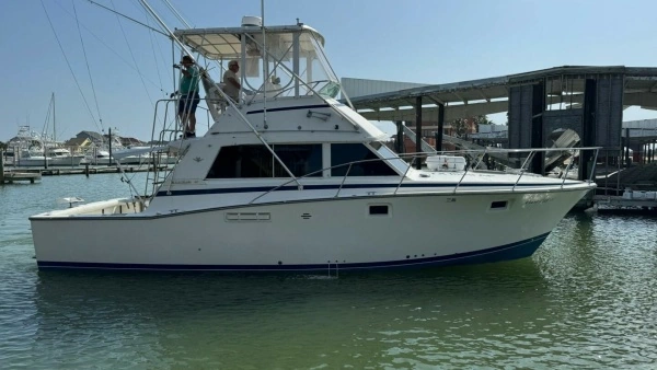 38-ft-Bertram-1983-385 Convertible-Cast Off II-Freeport Texas United States yacht for sale