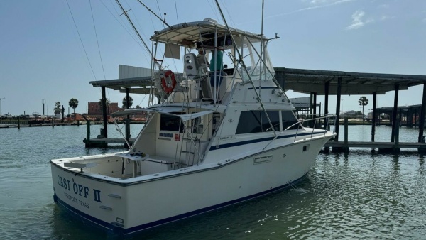 Cast Off II 38ft Bertram Yacht For Sale