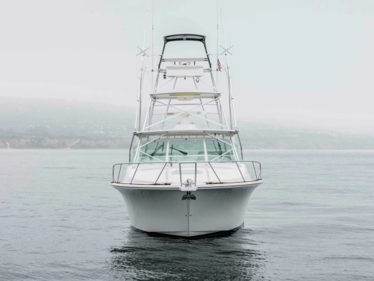 2008 Cabo 38