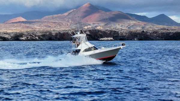38-ft-Viking-2025-38 Billfish-BAD COMPANY-Fort Lauderdale Florida United States yacht for sale
