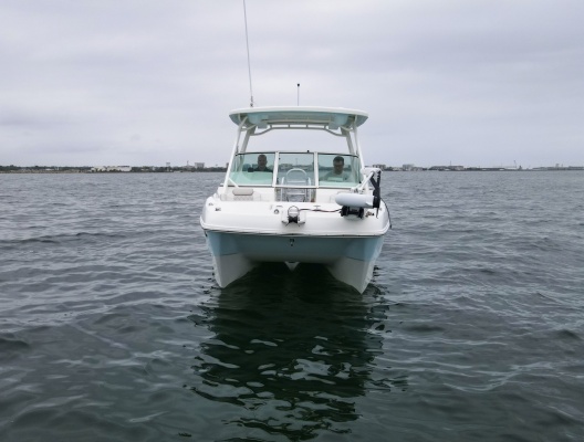 23ft World Cat Yacht For Sale