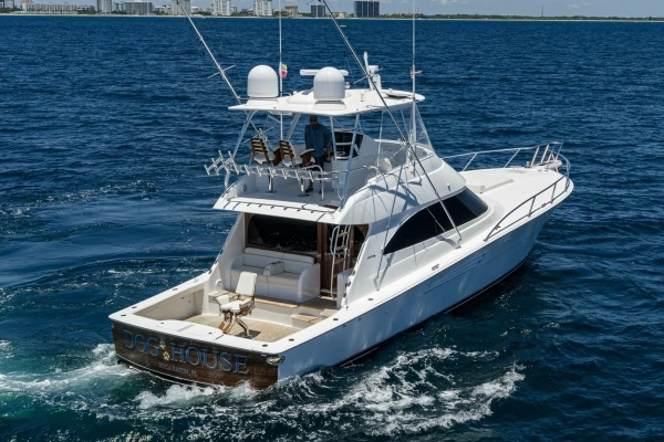 2024 Viking 54