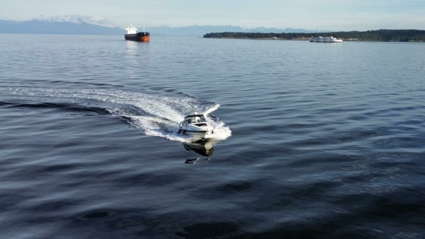 34ft Cruisers Yachts Yacht For Sale