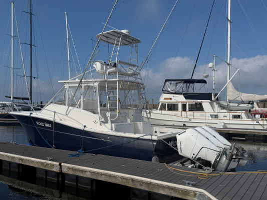 Wicked Smile 37ft Luhrs Yacht For Sale