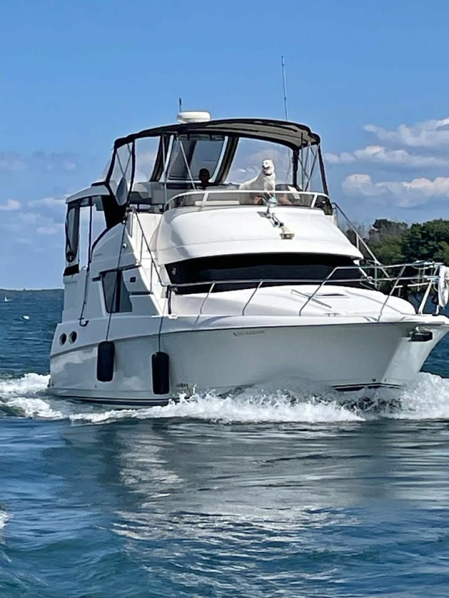 1999 SILVERTON 392 MY 39