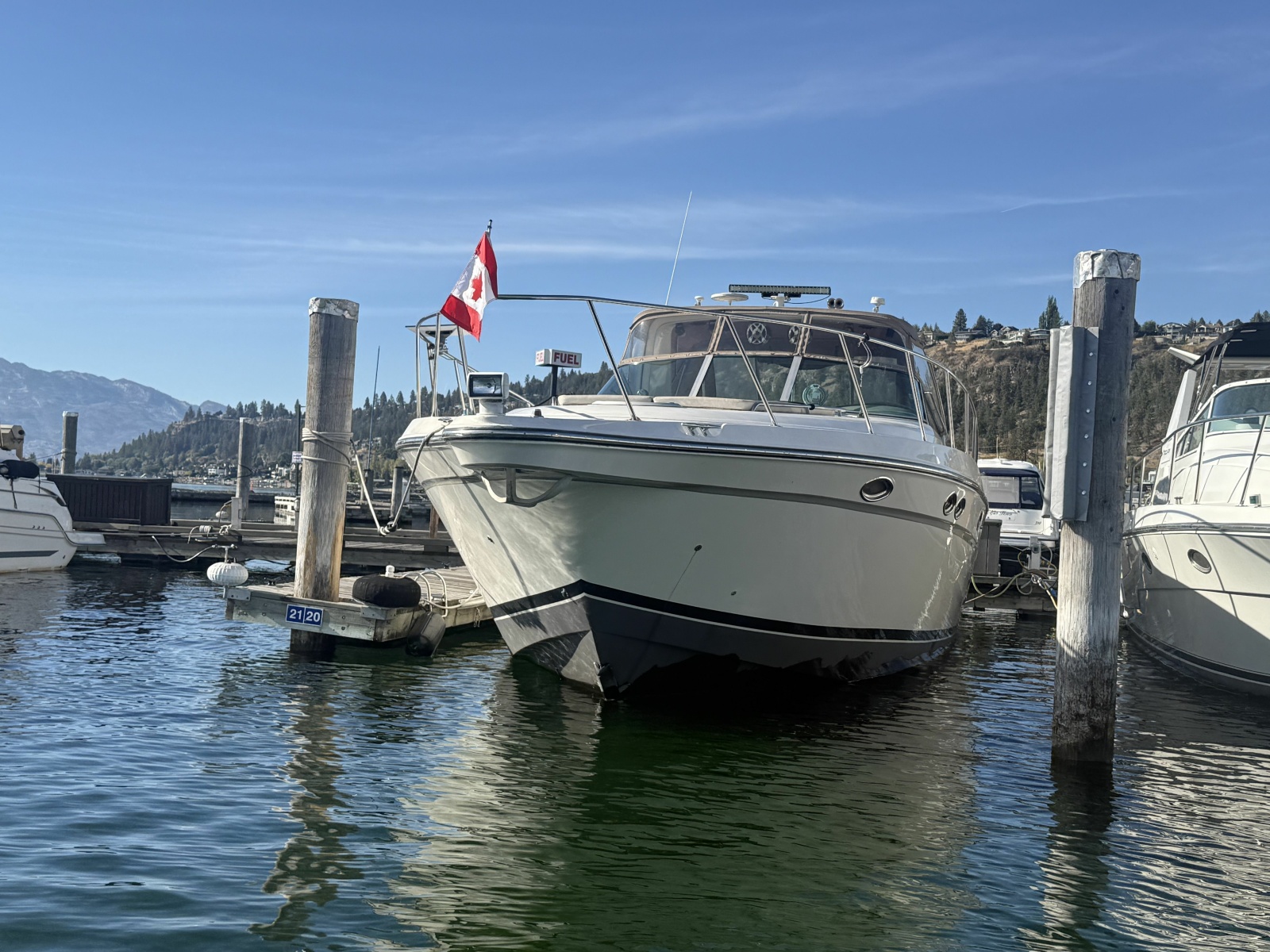 1998 Maxum 4100 SCR 41