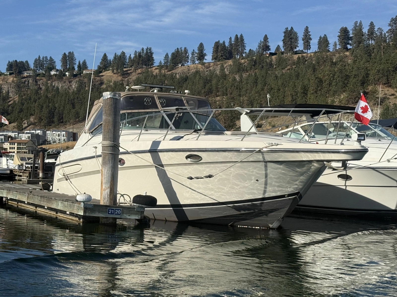 1998 Maxum 4100 SCR 41