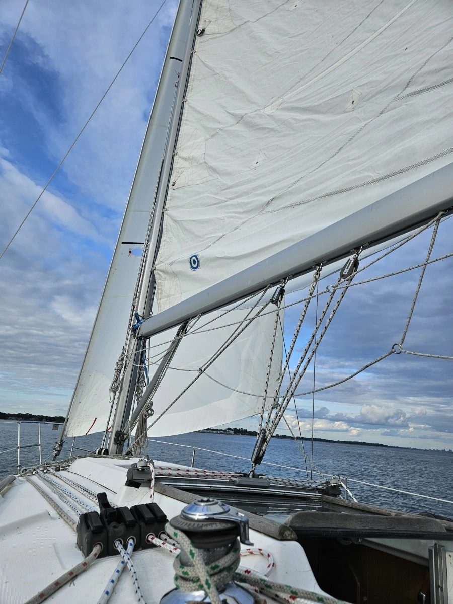 2003 Beneteau 311 31