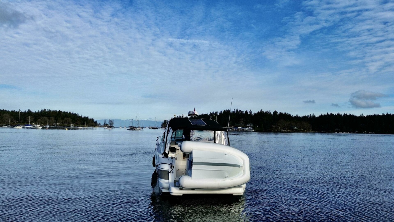 2006 Cruisers Yachts 340 Express 34