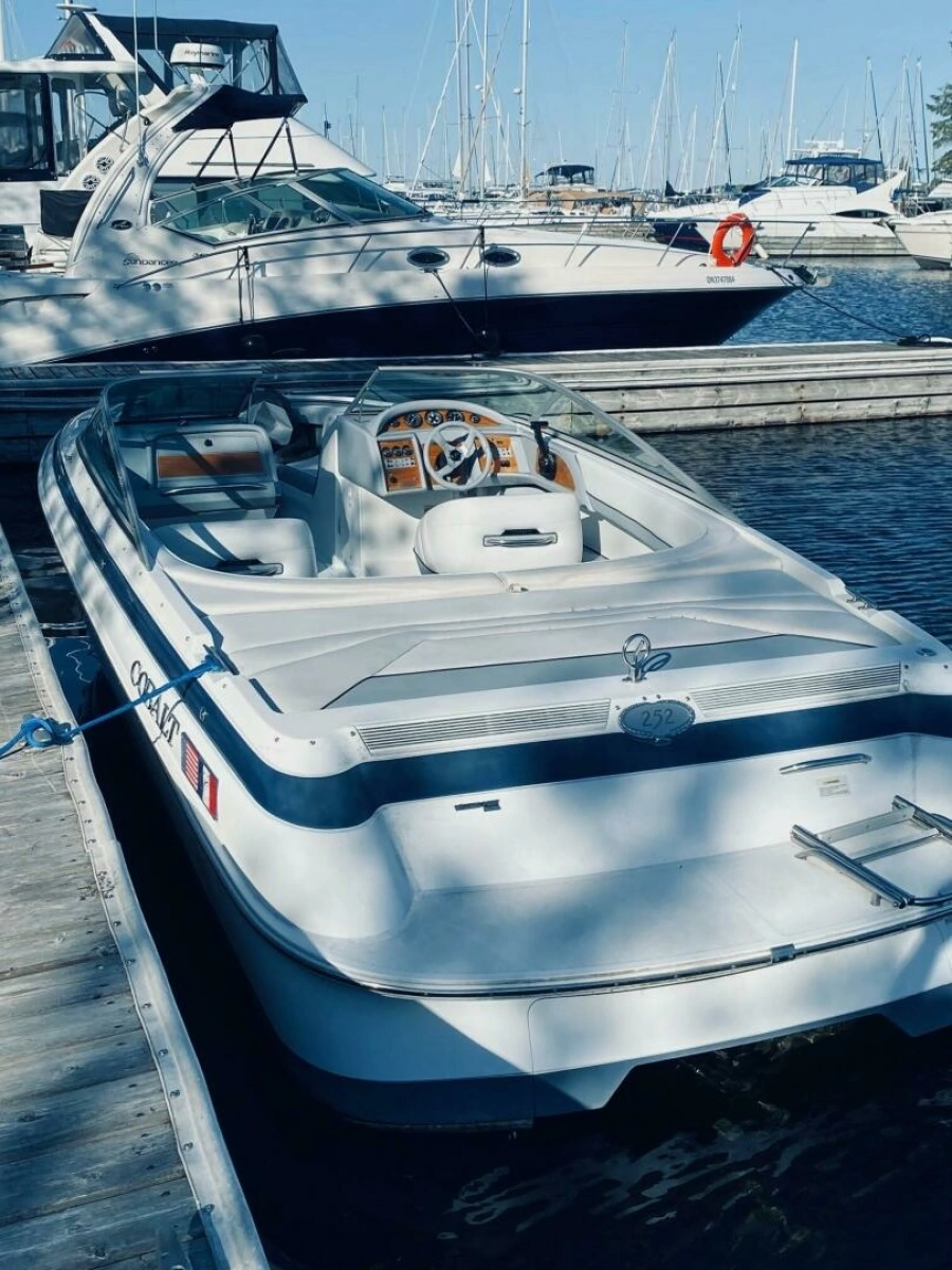 1999 Cobalt 252BR 25