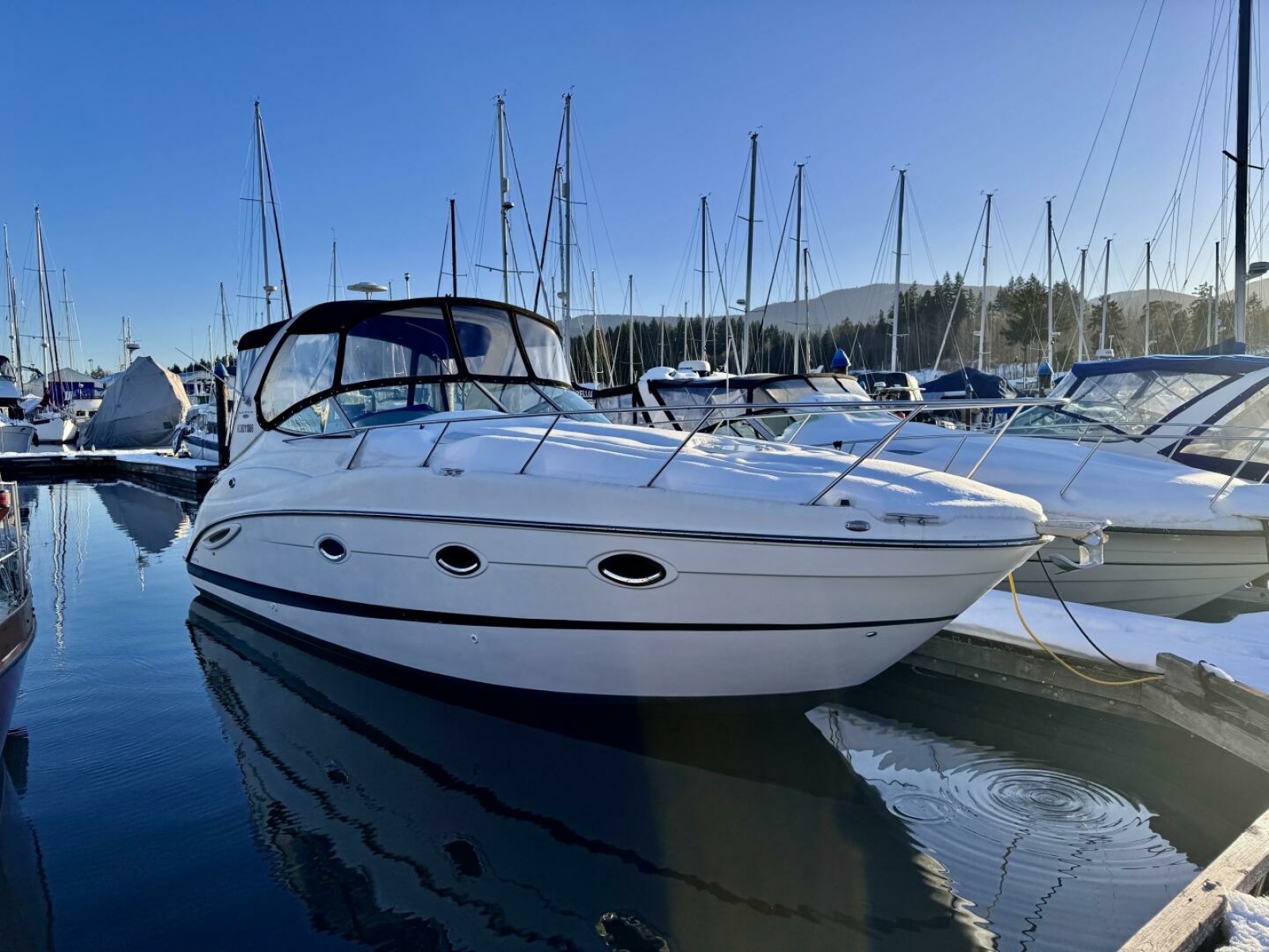 2006 Maxum 3100 SE 31