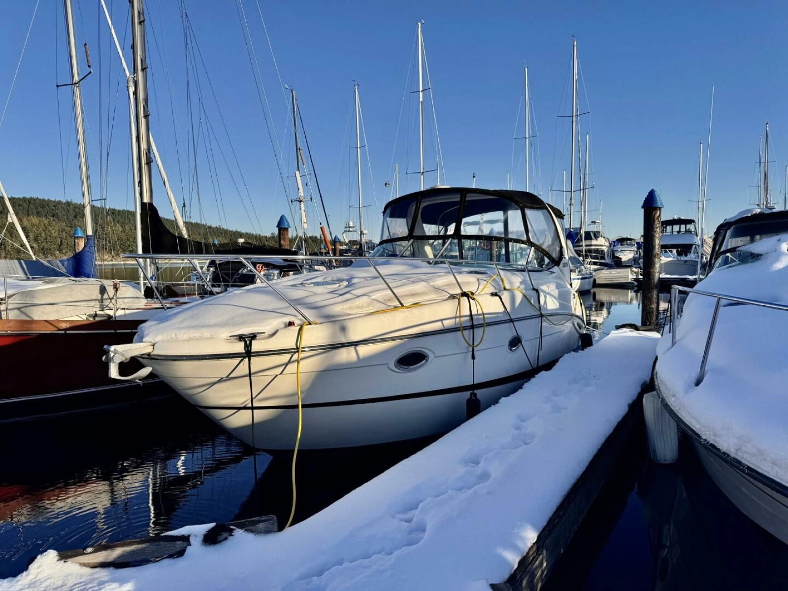 2006 Maxum 3100 SE 31