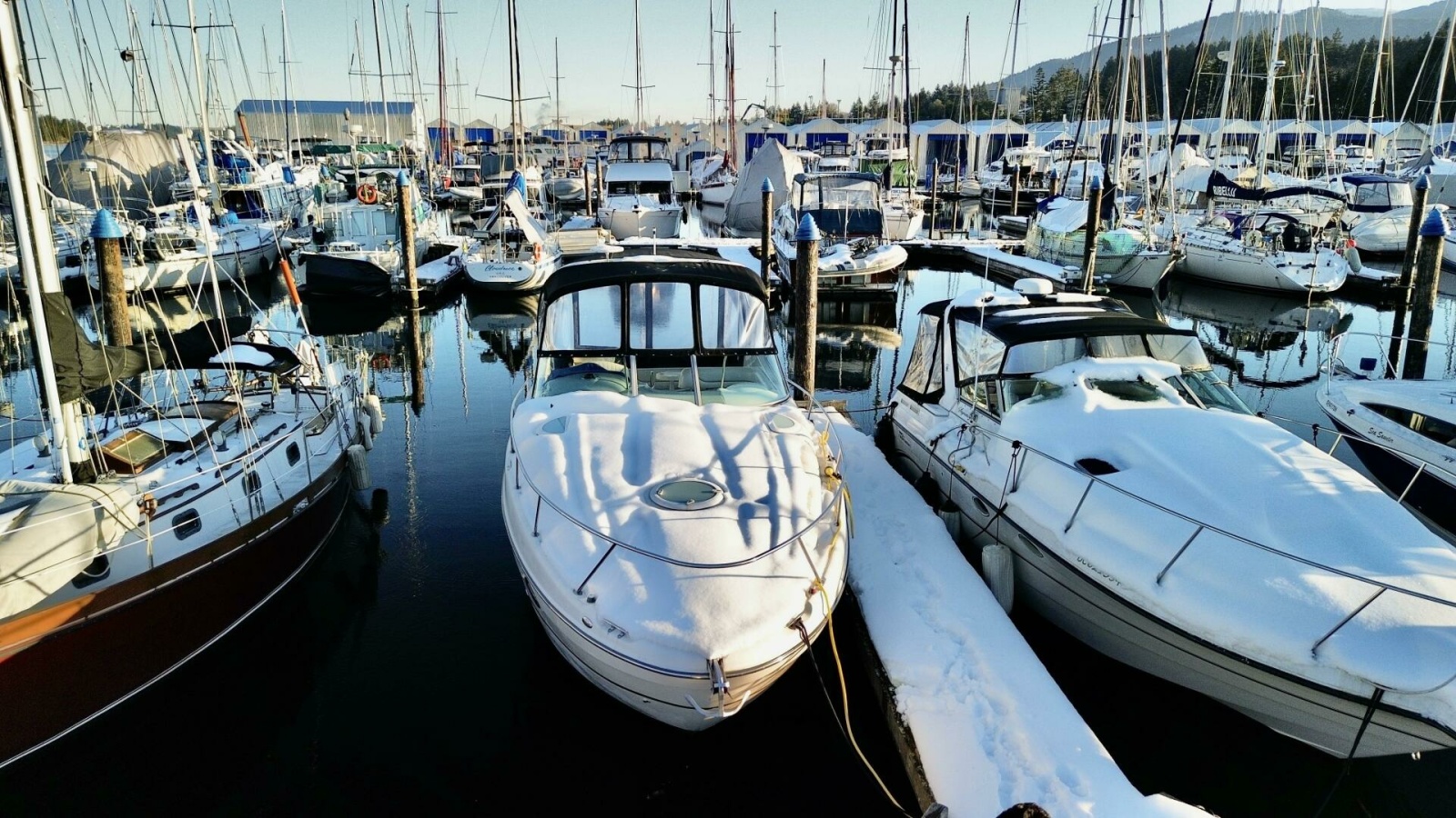 2006 Maxum 3100 SE 31