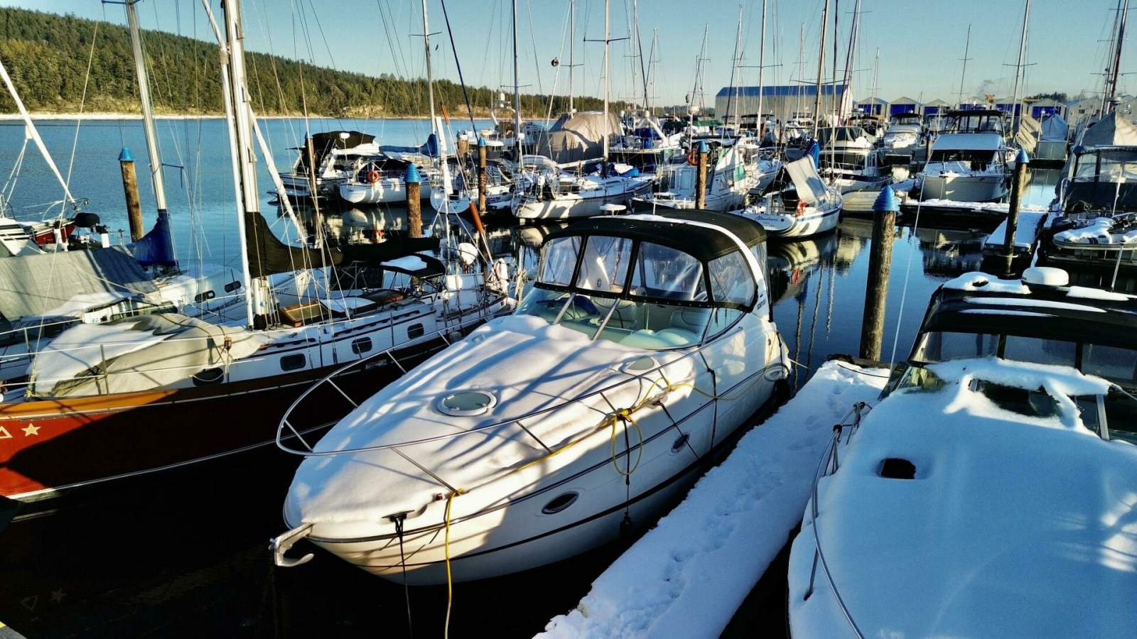 2006 Maxum 3100 SE 31
