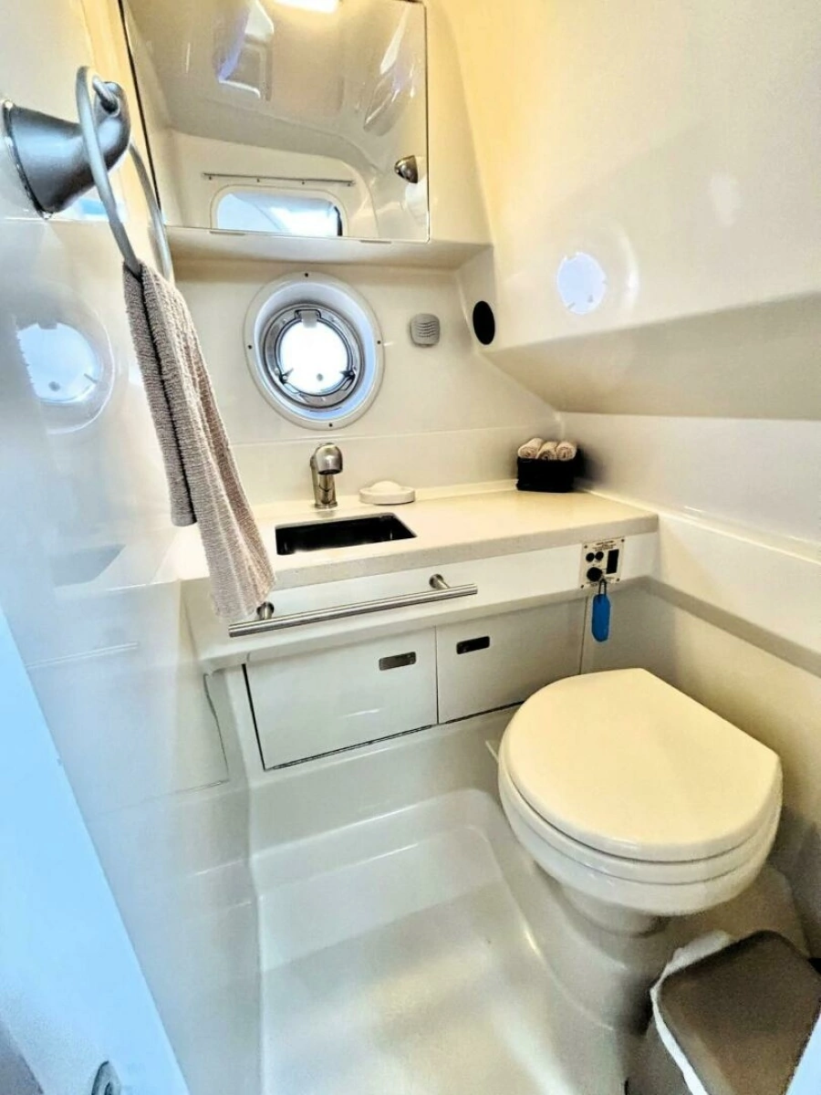 2010 Sea Ray 310 SUNDANCER 31