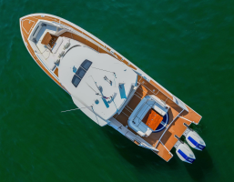 OSO DEL MAR