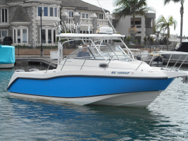 25' Boston Whaler 2004
