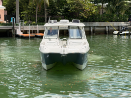 32ft World Cat Yacht For Sale