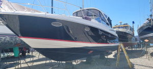 Sophia 40ft Regal Yacht For Sale