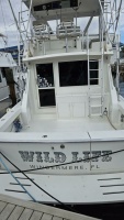 Wild Life 45ft Viking Yacht For Sale