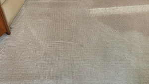 Salon Carpet