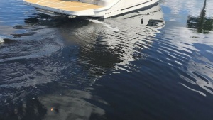 Kickin Tides 35ft Sea Ray Yacht For Sale